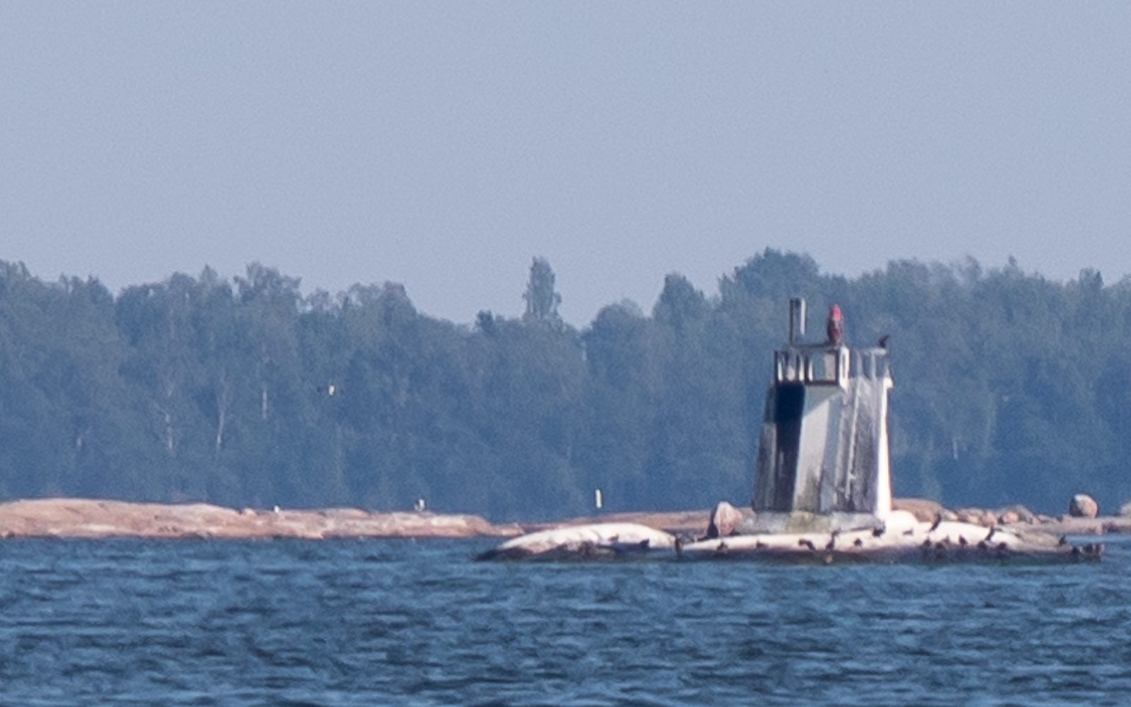 Lokkiluoto Pihlajasaari