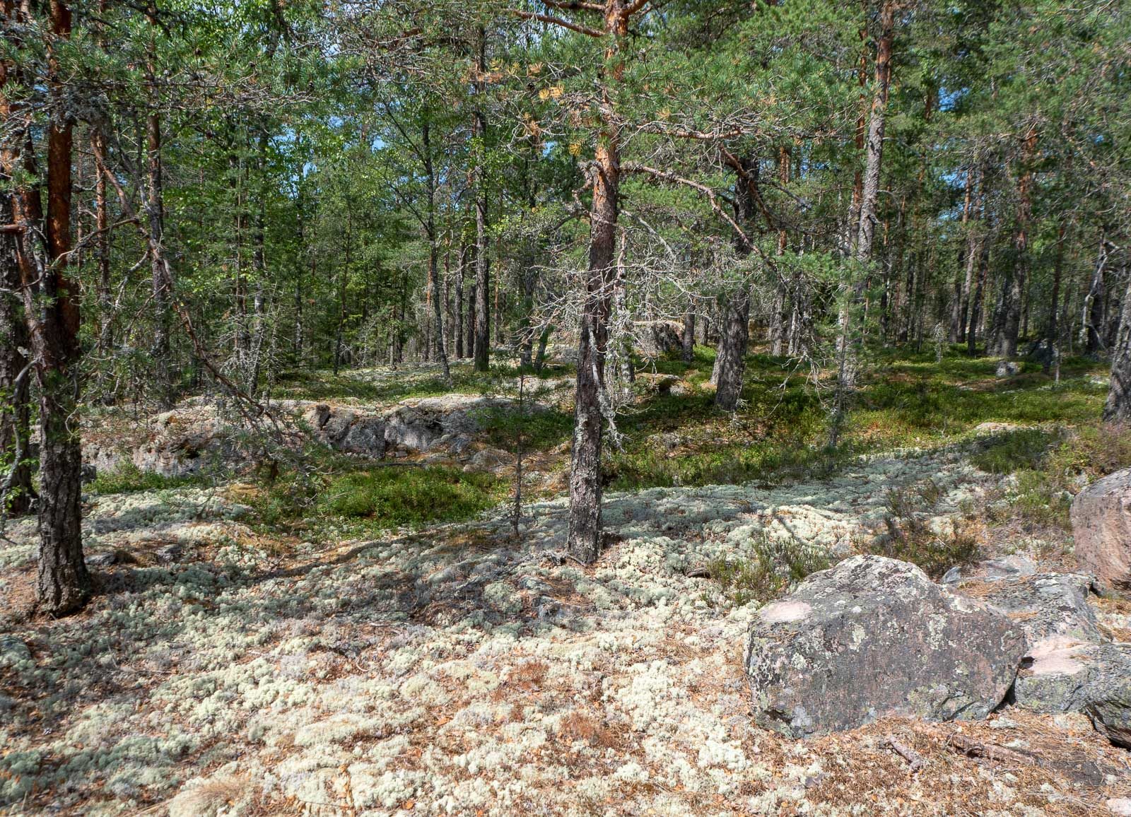 Sammallahdenmäki Unesco