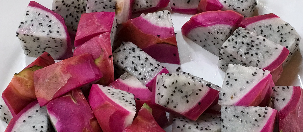 Mongolia kustannukset feature