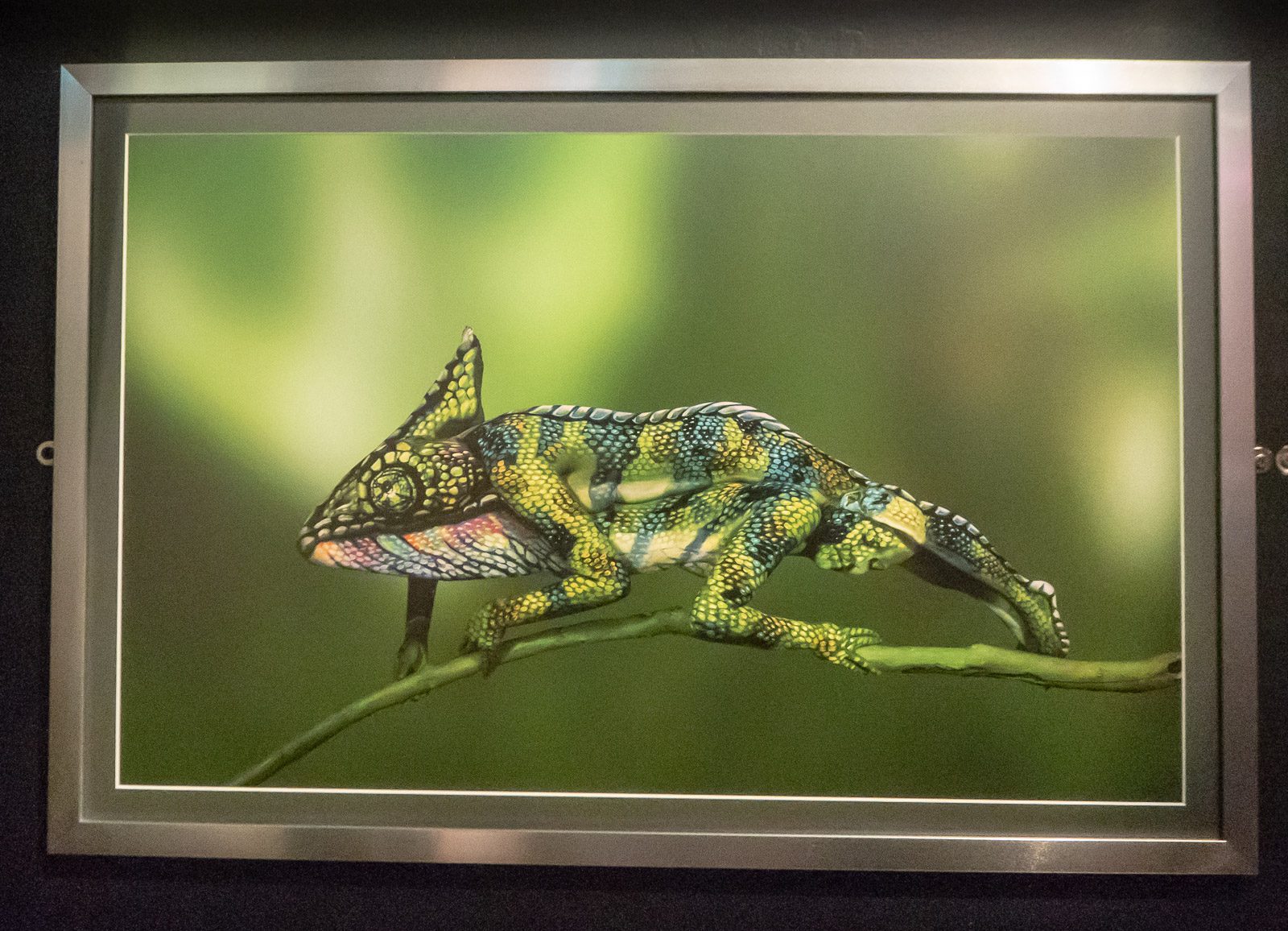 Camera Obscura Edinburgh