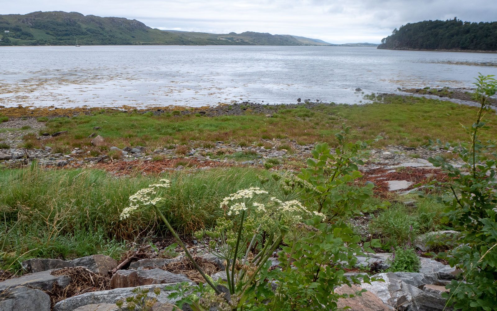 Loch Ewe