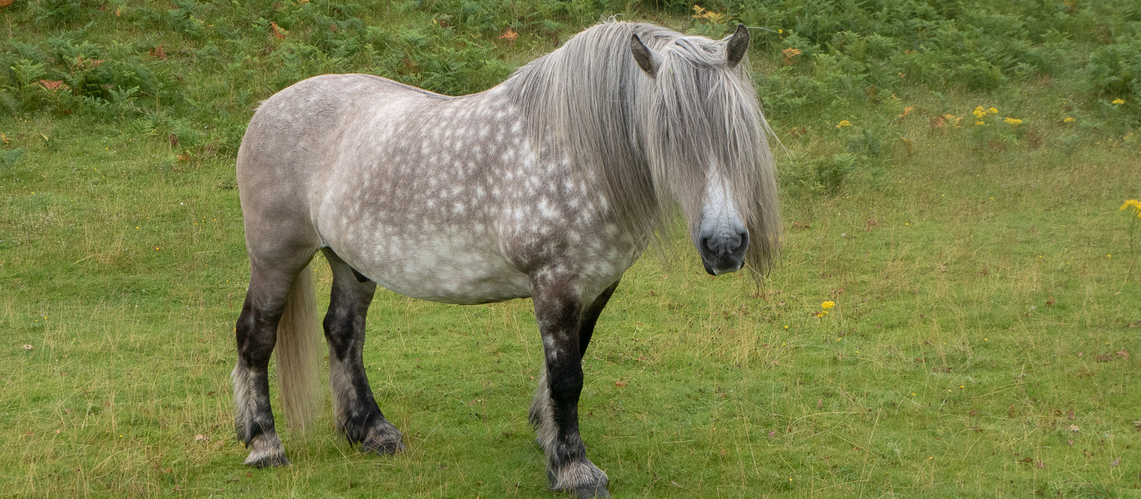 Loch Kernsary feature