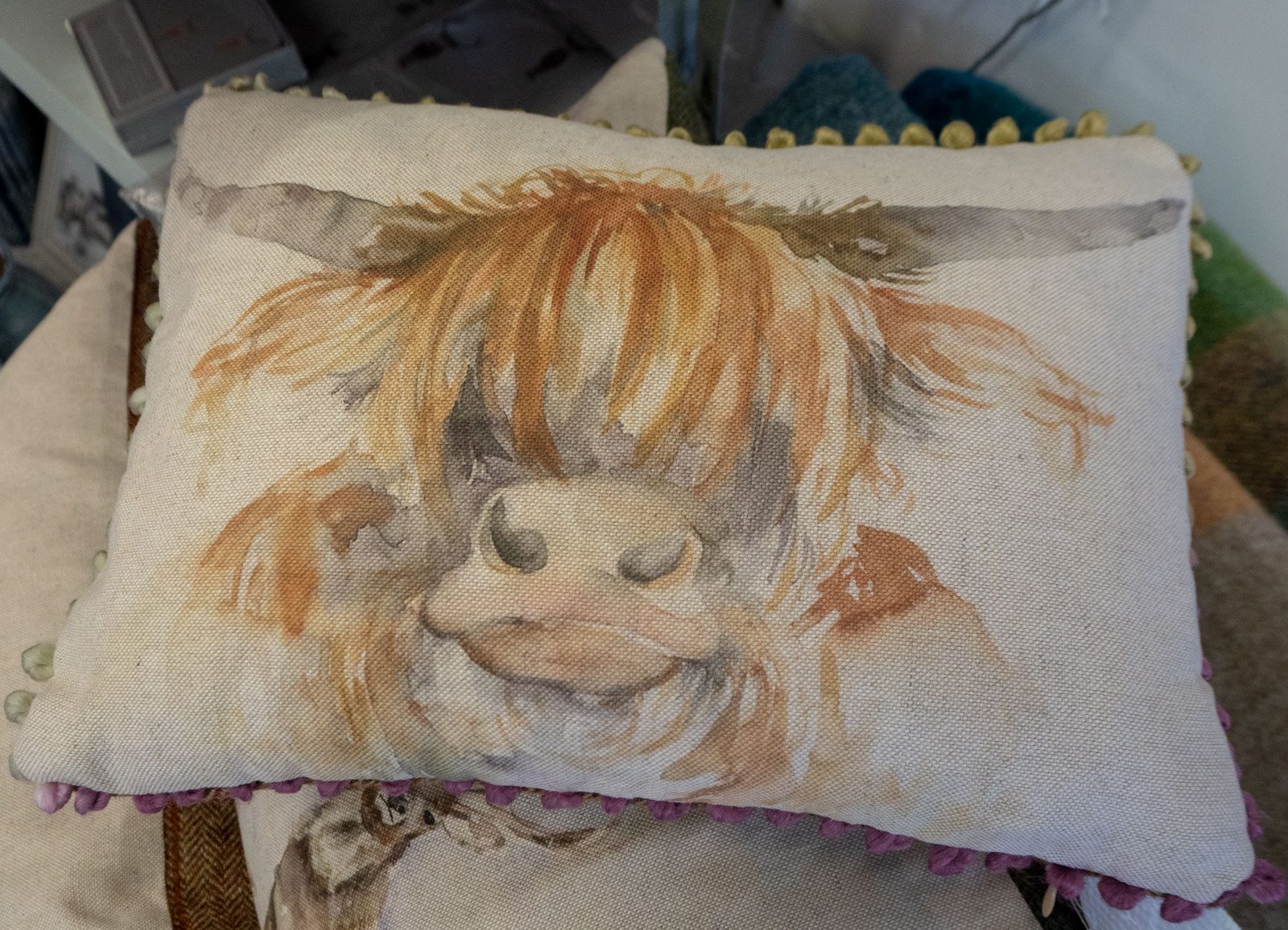 Portree Isle of Skye art