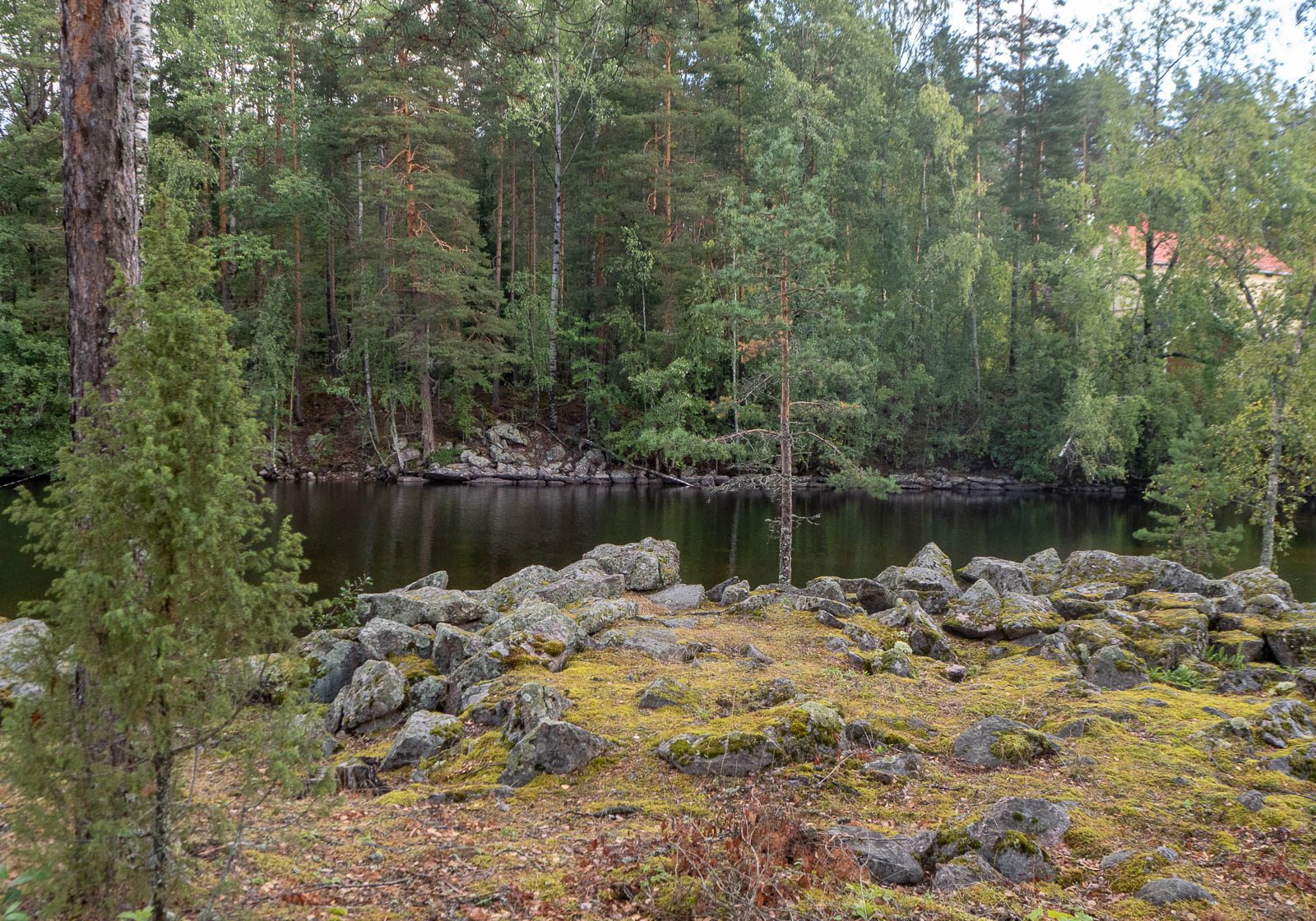 Verla puuhiomo ja pahvitehdas