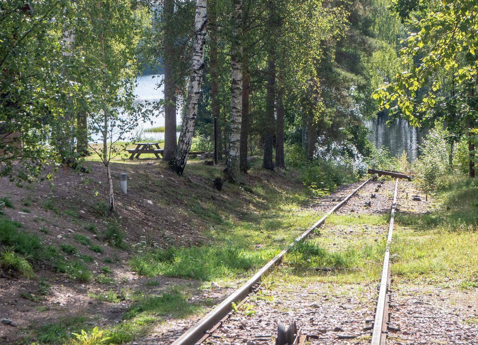 Verla puuhiomo ja pahvitehdas