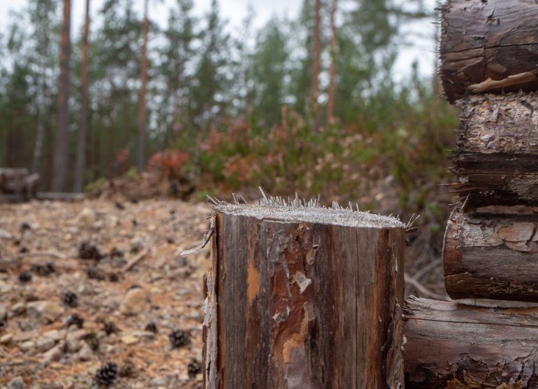 Bunkkerimuseo Virolahti