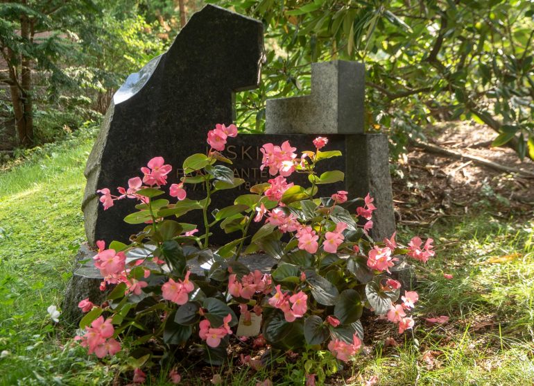 Taiteilijakukkula Paavo Liski