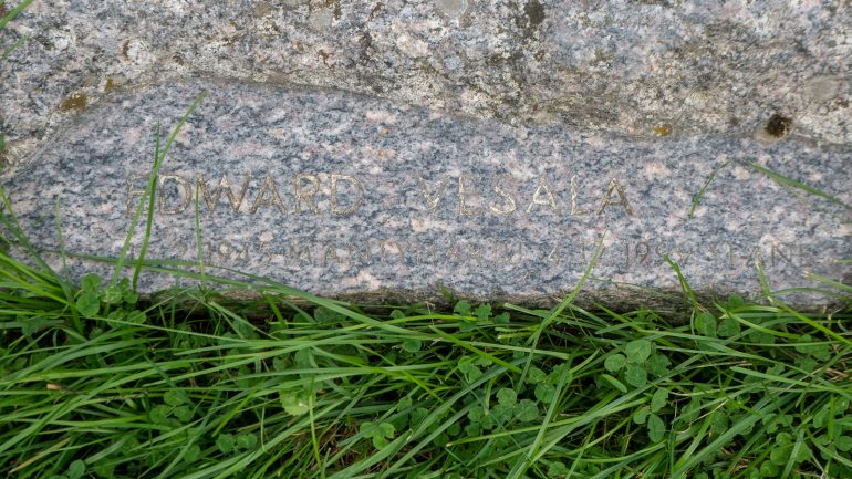 Taiteilijakukkula Edward Wesala