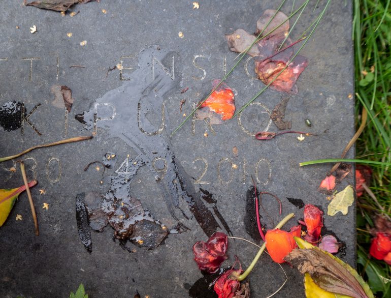 Taiteilijakukkula Pentti Kaskipuro