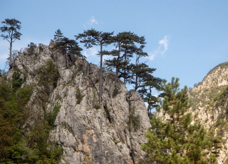 Sarajevo - Podgorica