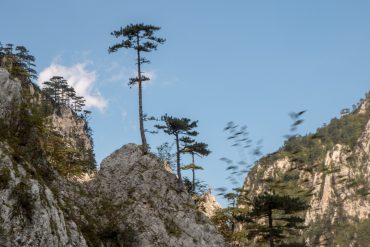 Sarajevo - Podgorica