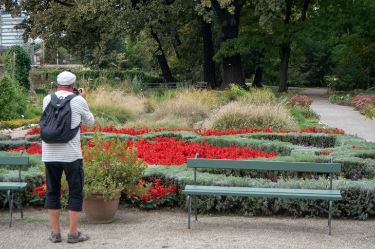 Zagreb kasvitieteellinen puutarha