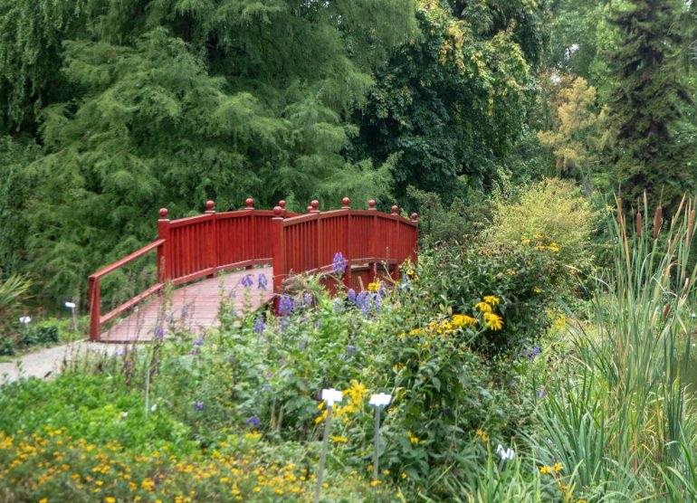 Zagreb kasvitieteellinen puutarha