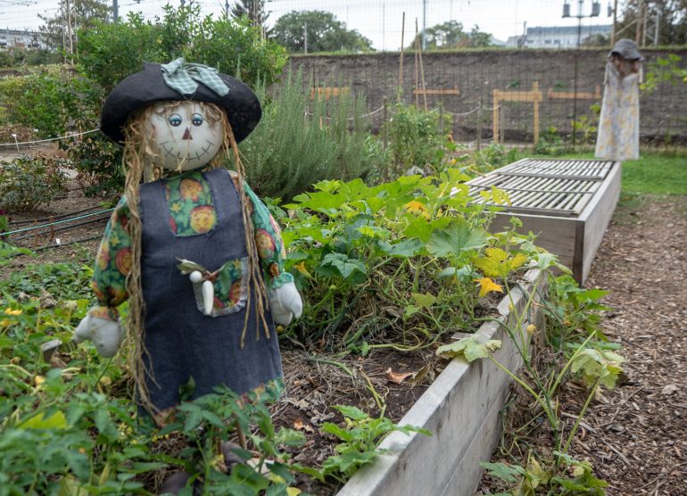 Zagreb kasvitieteellinen puutarha