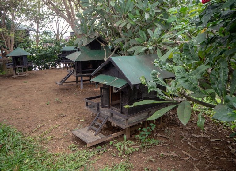 Inle Heritage Burmese Cat village