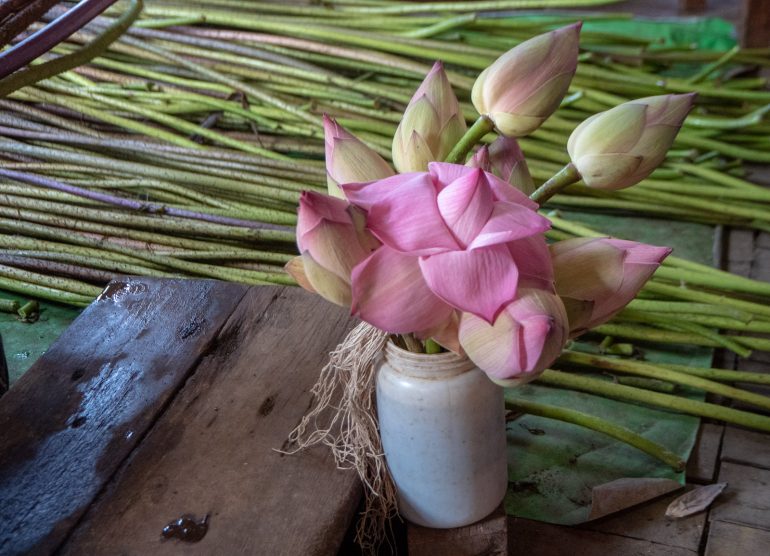Lootus Inle Myanmar