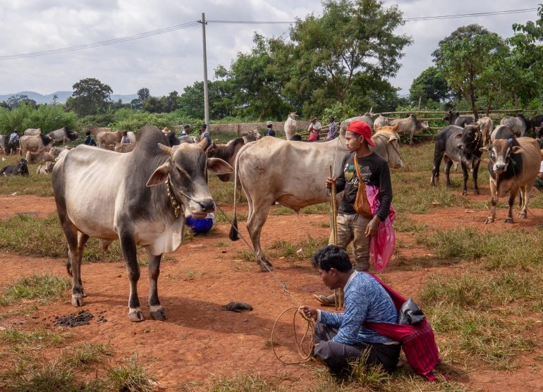 Heho Markkinoilla Myanmarissa