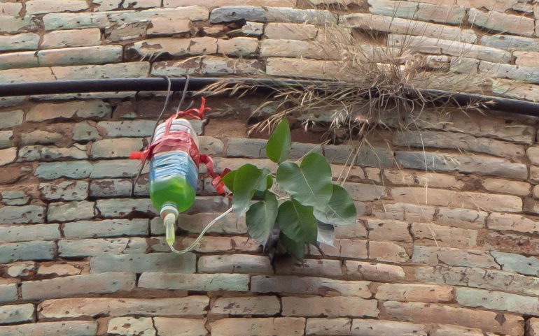 Nga-kywe-na-daung Bagan