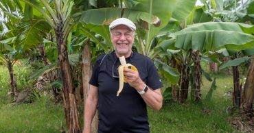 Saint Lucia banaanit