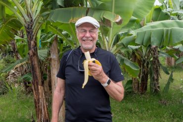 Saint Lucia banaanit