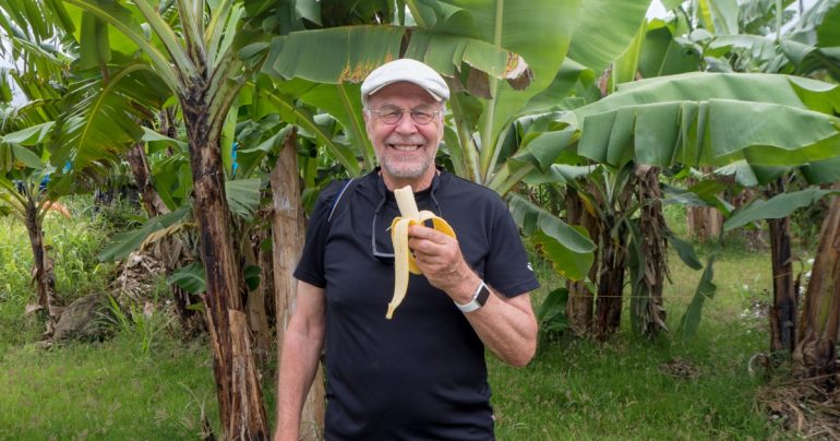 Saint Lucia banaanit