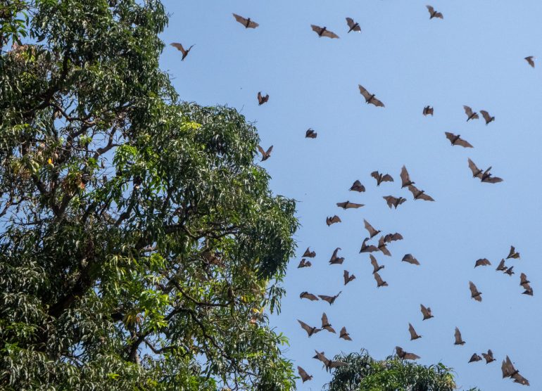 Abidjan Cote d'Ivoire