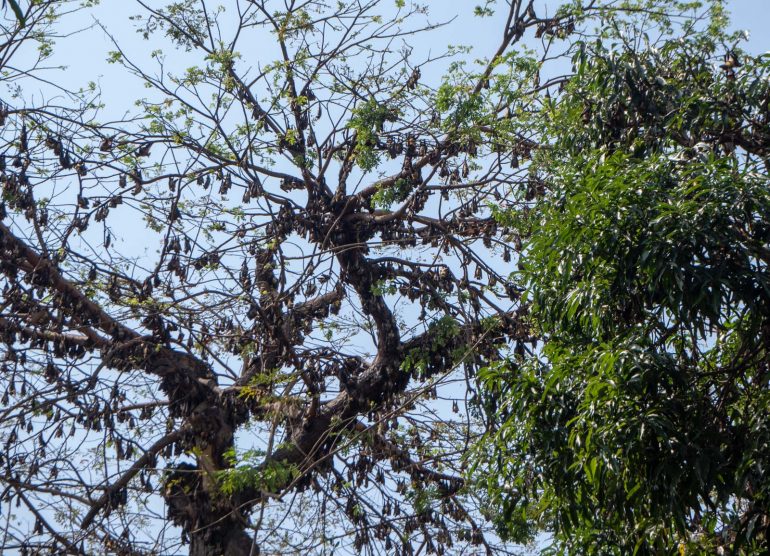 Abidjan Cote d'Ivoire