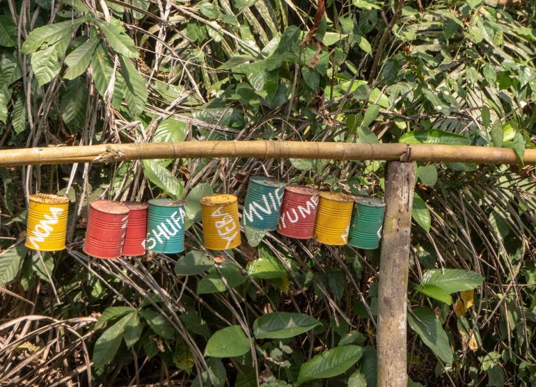 Mefou Kamerun tasamaan gorilla