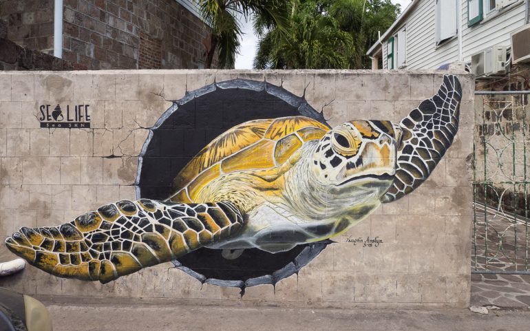 Nevis Saint Kitts ja Nevis 30 parasta trooppista saarta