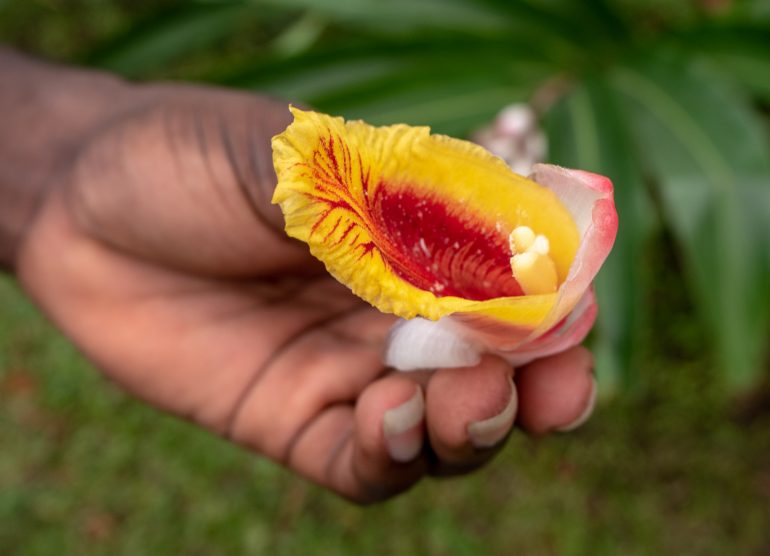 Sao Tome kasvitieteellinen puutarha