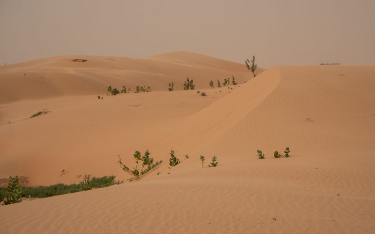 Mauritania