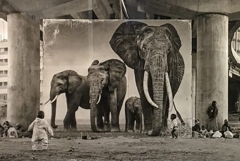 Nick Brandt Inherit the Dust
