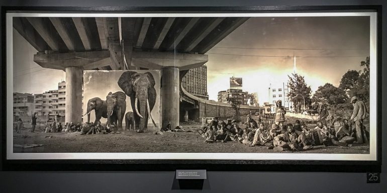 Nick Brandt Inherit the Dust