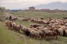 Keski-Aasia kustannukset feature