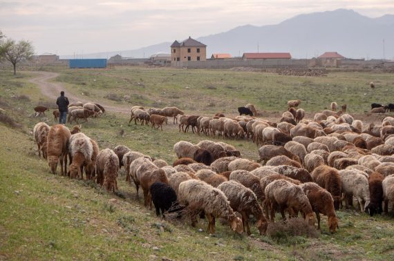 Keski-Aasia kustannukset feature