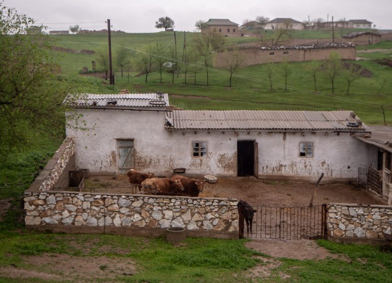 Uzbekistanin maaseudulla