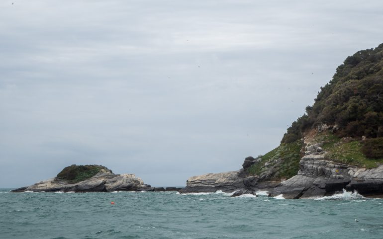 Runoilijoiden lahti Tino