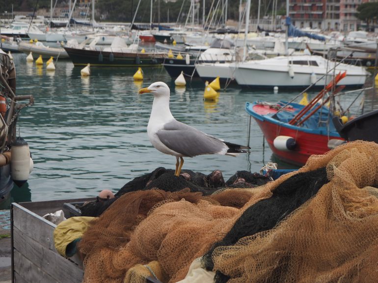 Lerici Runoilijoiden lahti