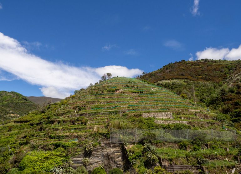 Vernazza Cinque Terre