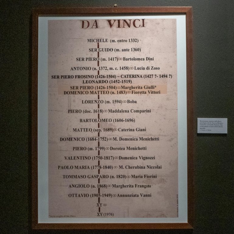 Vinci ja Leonardon hiuskiekura