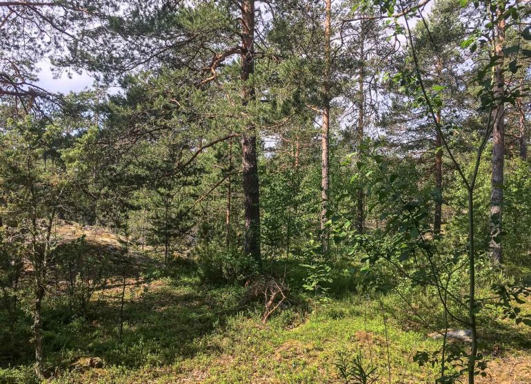 Naantali Heideken Kultaranta Resort