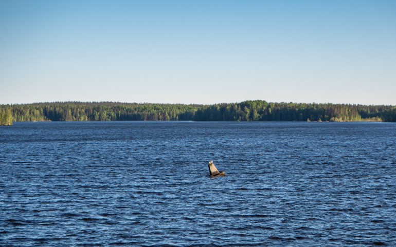 Raja Nuijamaan järvellä