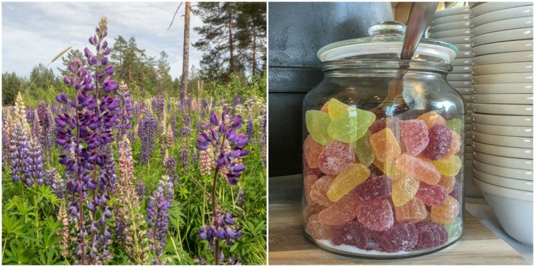 Naantali Heideken Kultaranta Resort