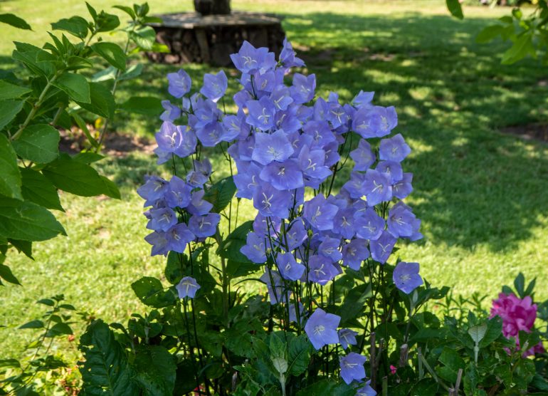 Kraemmerhuset Bornholm