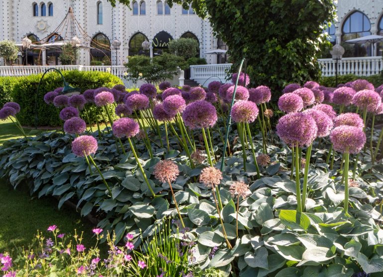 Tivoli Kööpenhamina