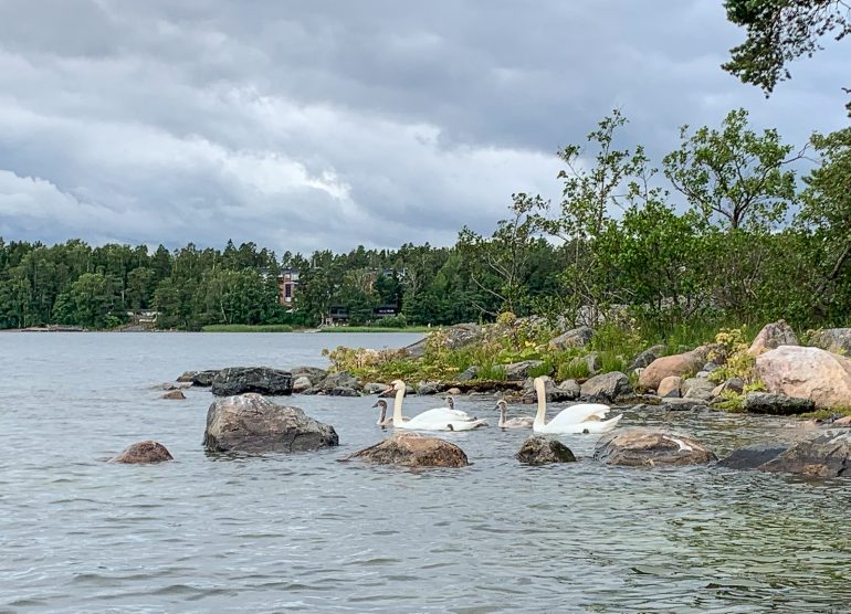 Natura Viva Vuosaari
