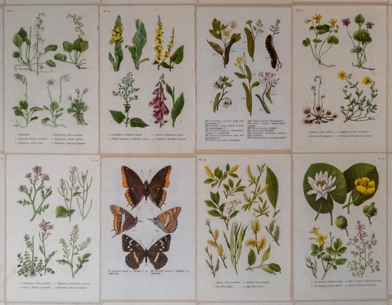 LWT yksityiskohtia 2019