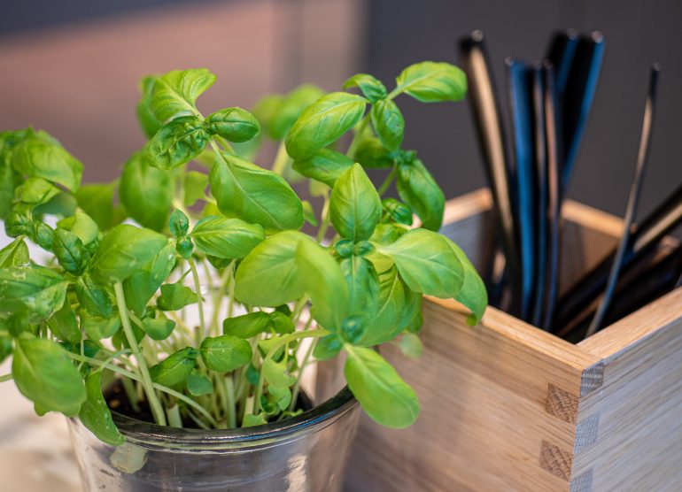 Ristorante Flavore Tallinna