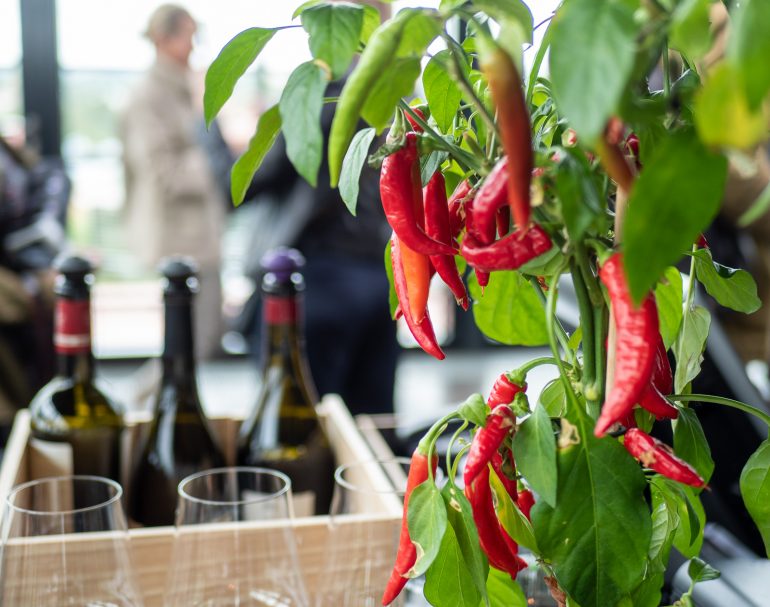 Fotografiska Tallinna