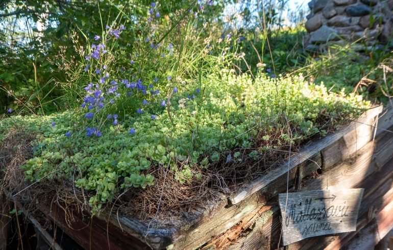 Herrankukkaro saunat